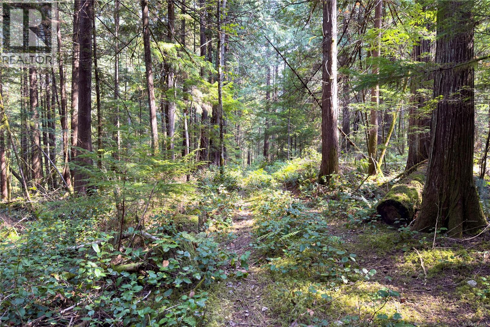 1572 Squirrel Cove Rd Property Photo 15