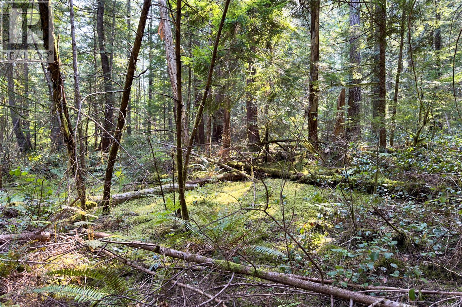 1572 Squirrel Cove Rd Property Photo 16
