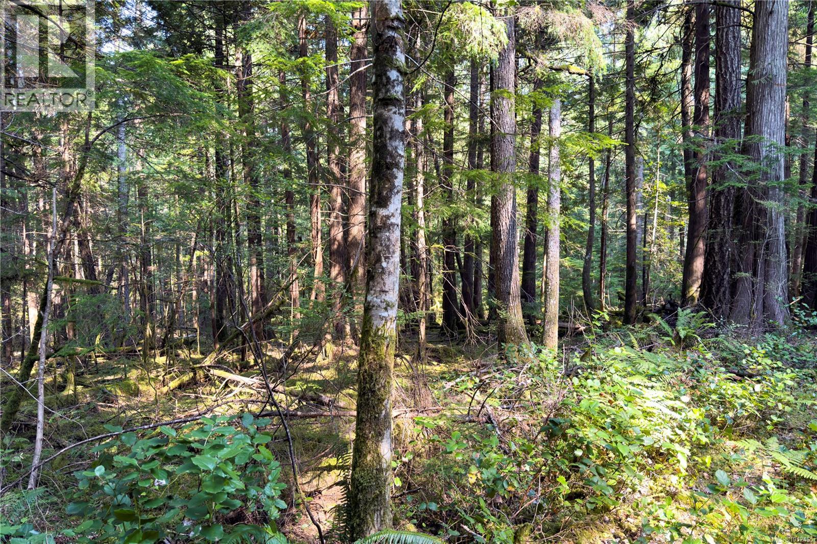1572 Squirrel Cove Rd Property Photo 18