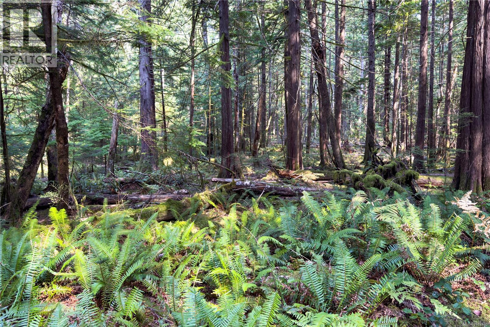 1572 Squirrel Cove Rd Property Photo 19