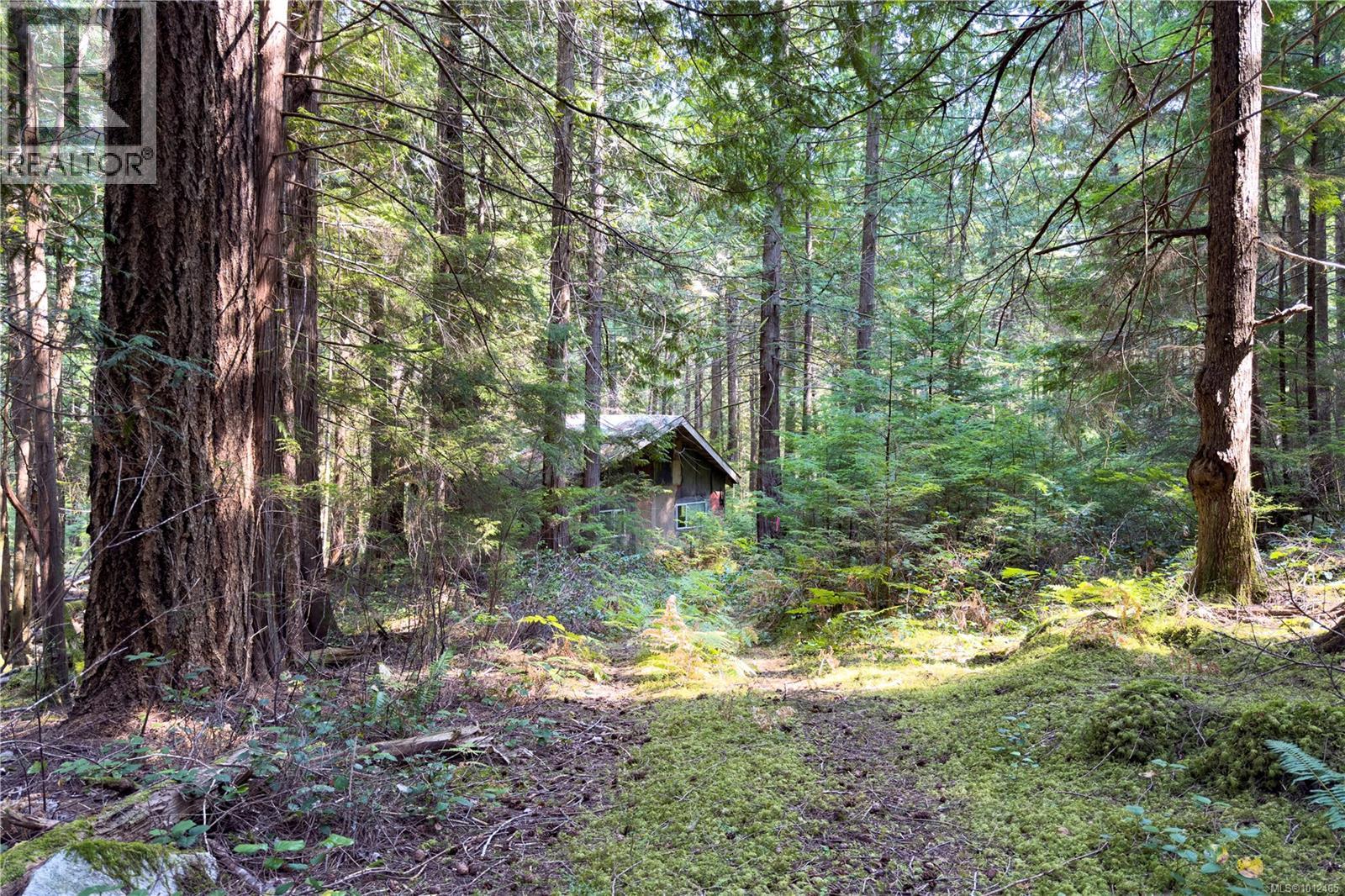 1572 Squirrel Cove Rd Property Photo 21