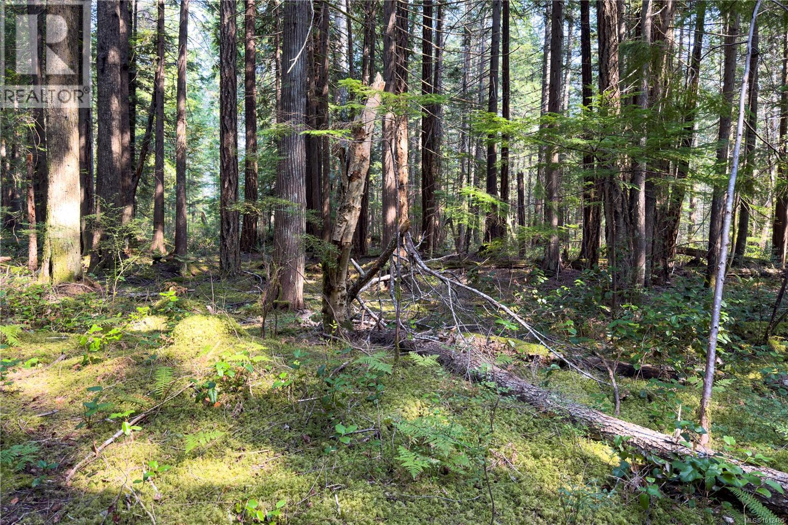 1572 Squirrel Cove Rd Property Photo 24