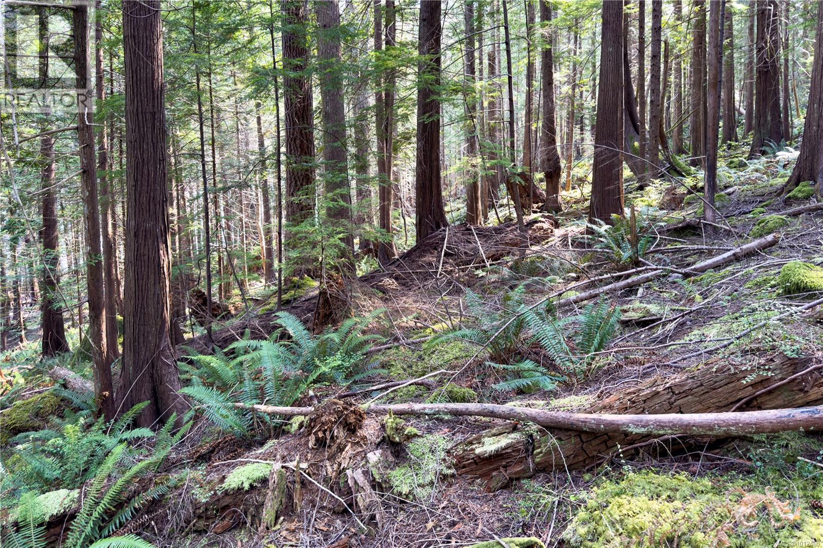 1572 Squirrel Cove Rd Property Photo 25