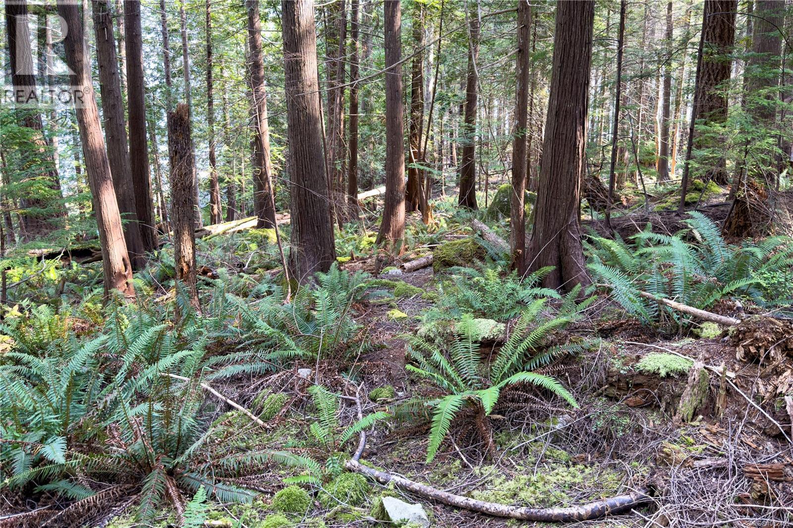 1572 Squirrel Cove Rd Property Photo 27