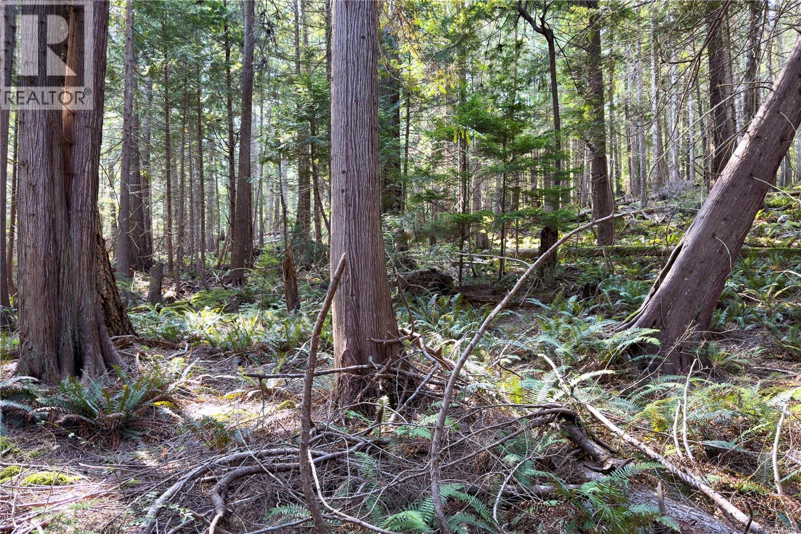 1572 Squirrel Cove Rd Property Photo 33