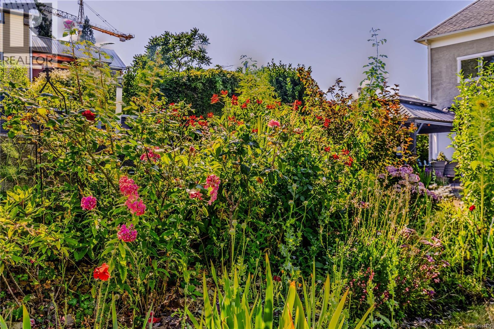 377 Milton Street Property Photo 81