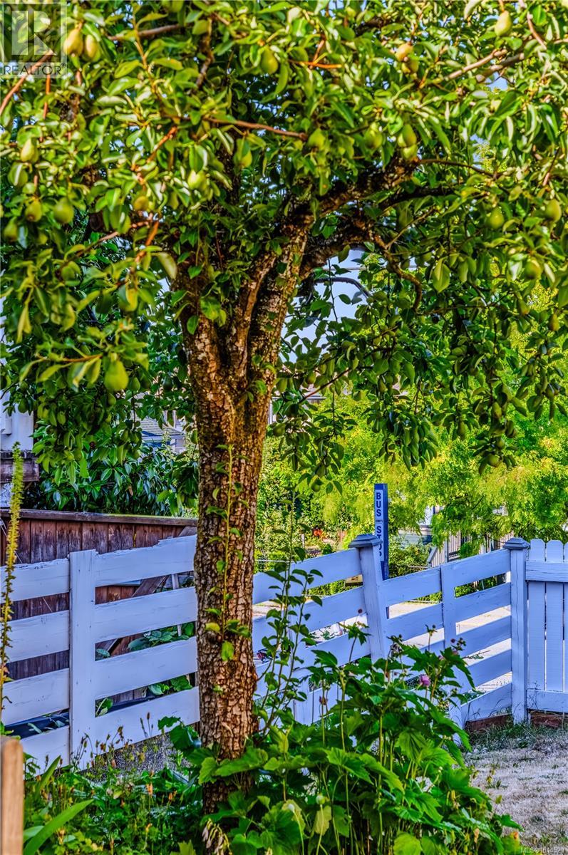 377 Milton Street Property Photo 91