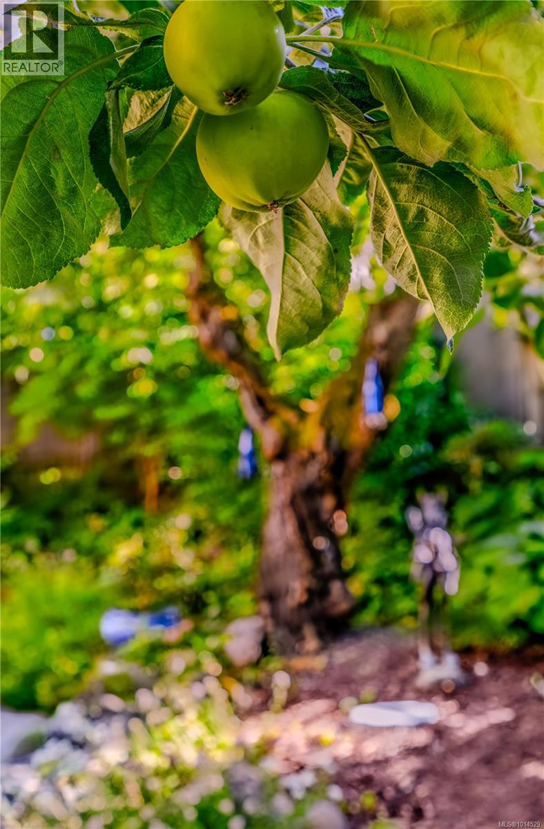 377 Milton Street Property Photo 93