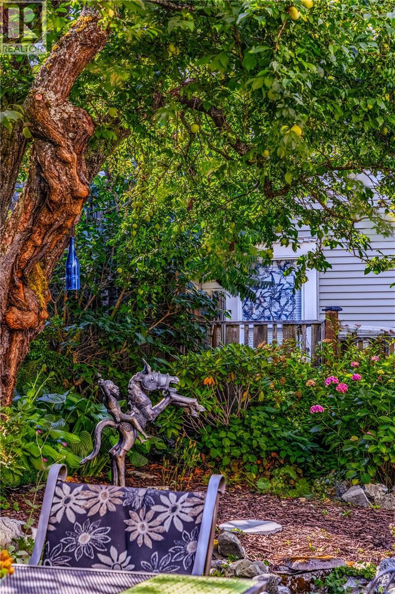 377 Milton Street Property Photo 94