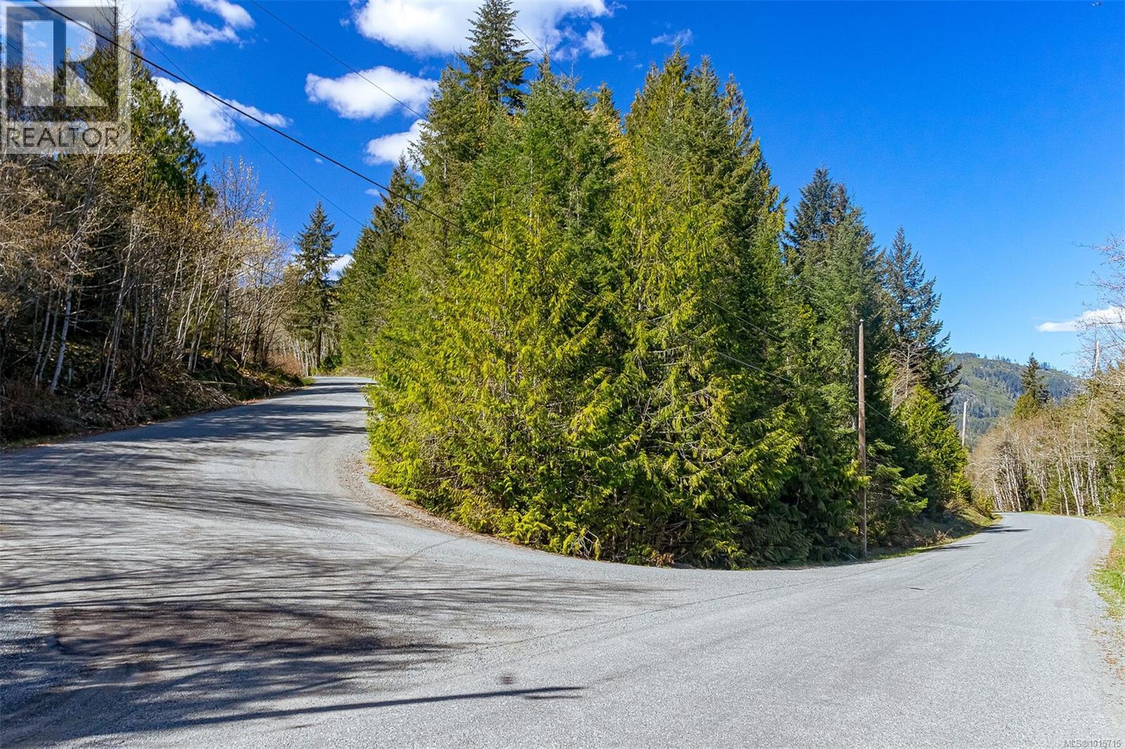 Lot 12 Mountain Rd Property Photo 5