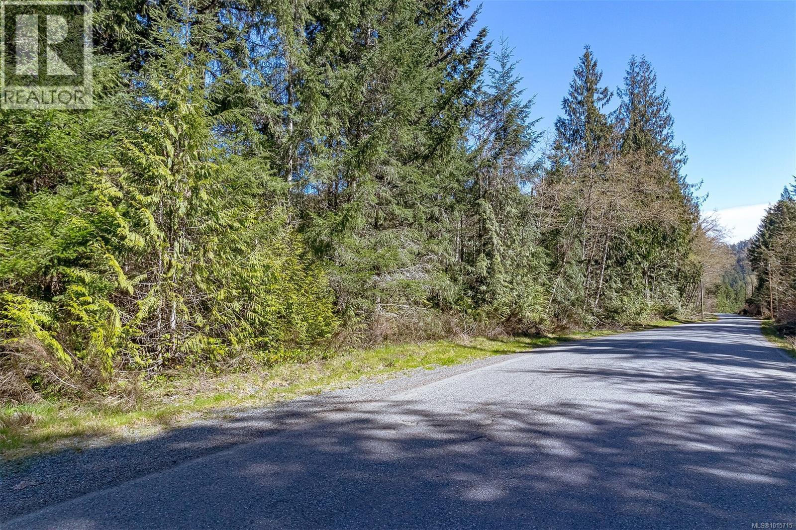 Lot 12 Mountain Rd Property Photo 7