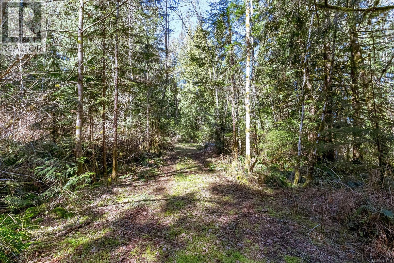 Lot 12 Mountain Rd Property Photo 8