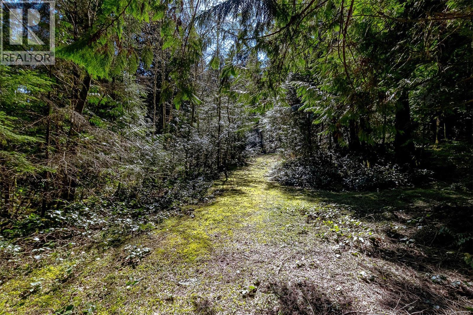 Lot 12 Mountain Rd Property Photo 16