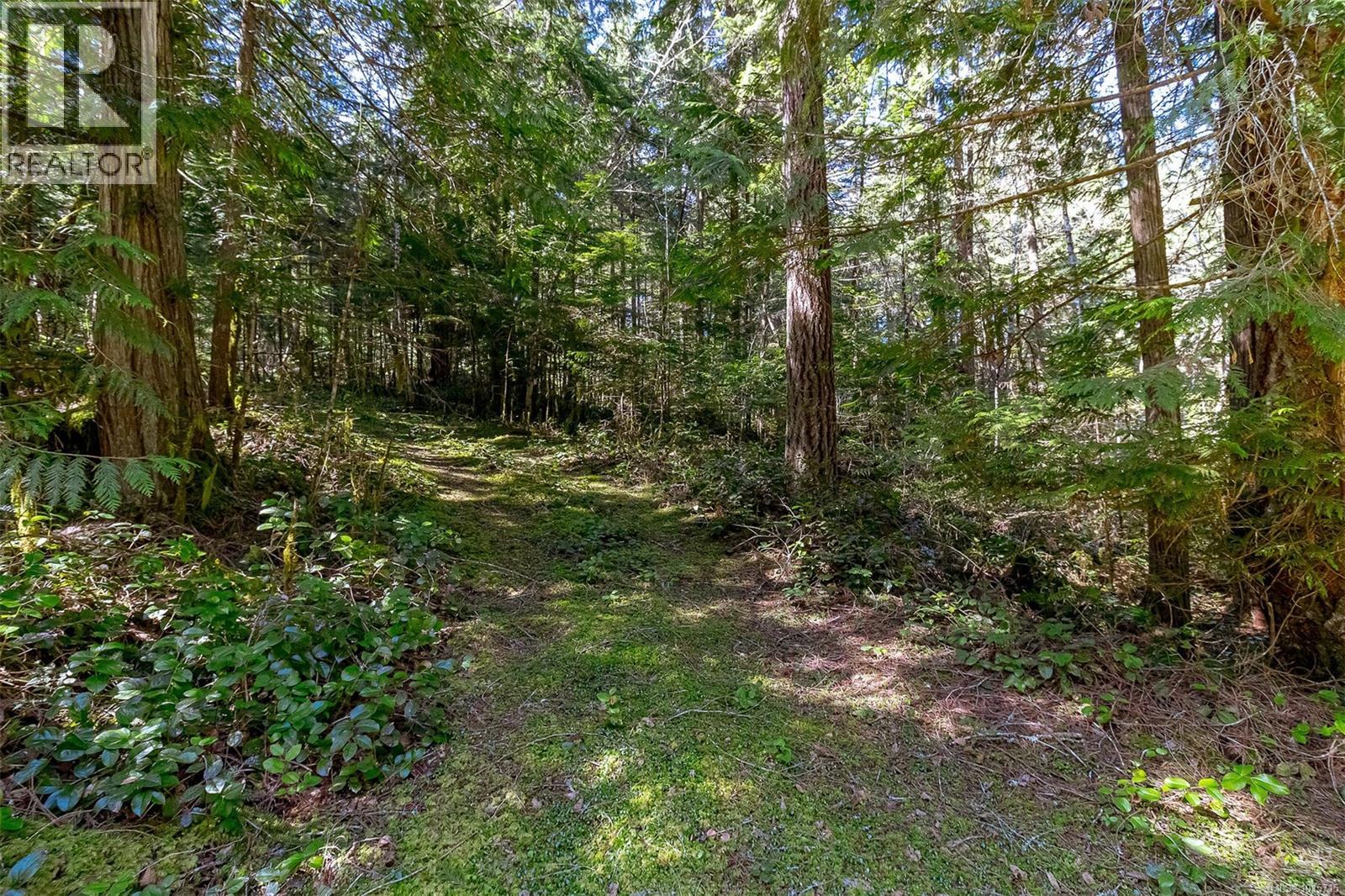 Lot 12 Mountain Rd Property Photo 17