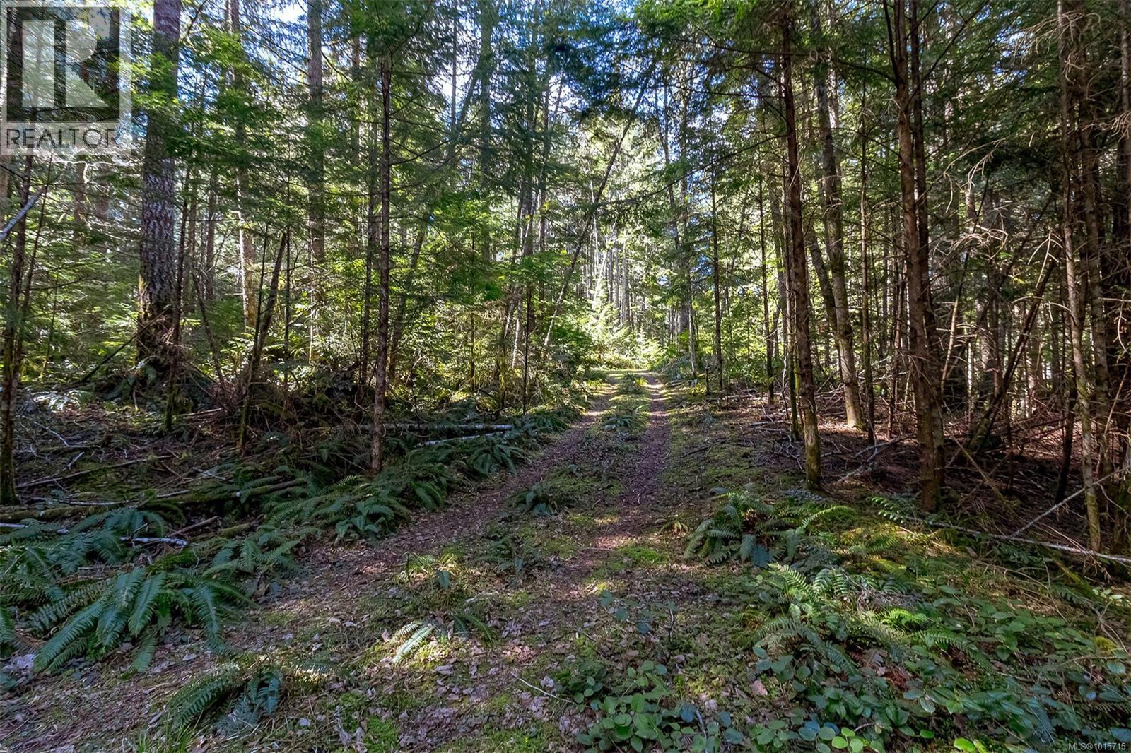 Lot 12 Mountain Rd Property Photo 18