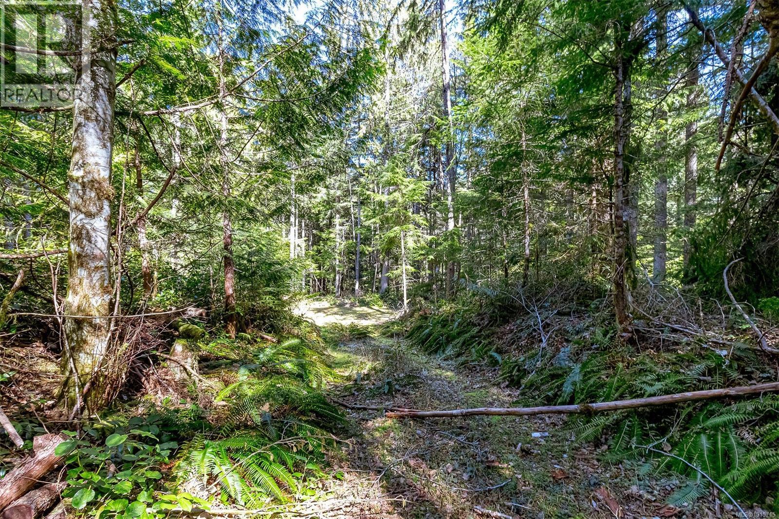 Lot 12 Mountain Rd Property Photo 20