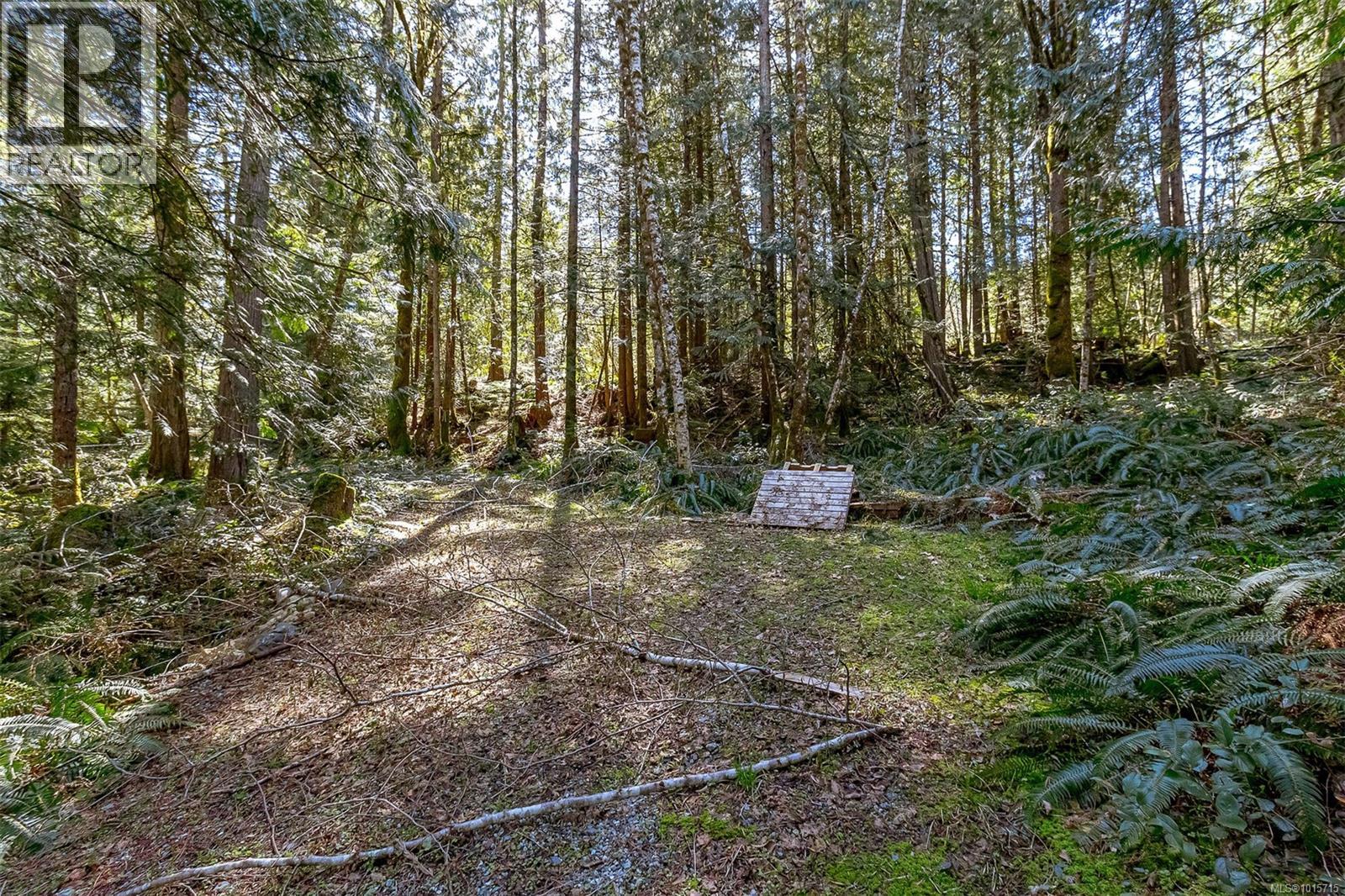 Lot 12 Mountain Rd Property Photo 21