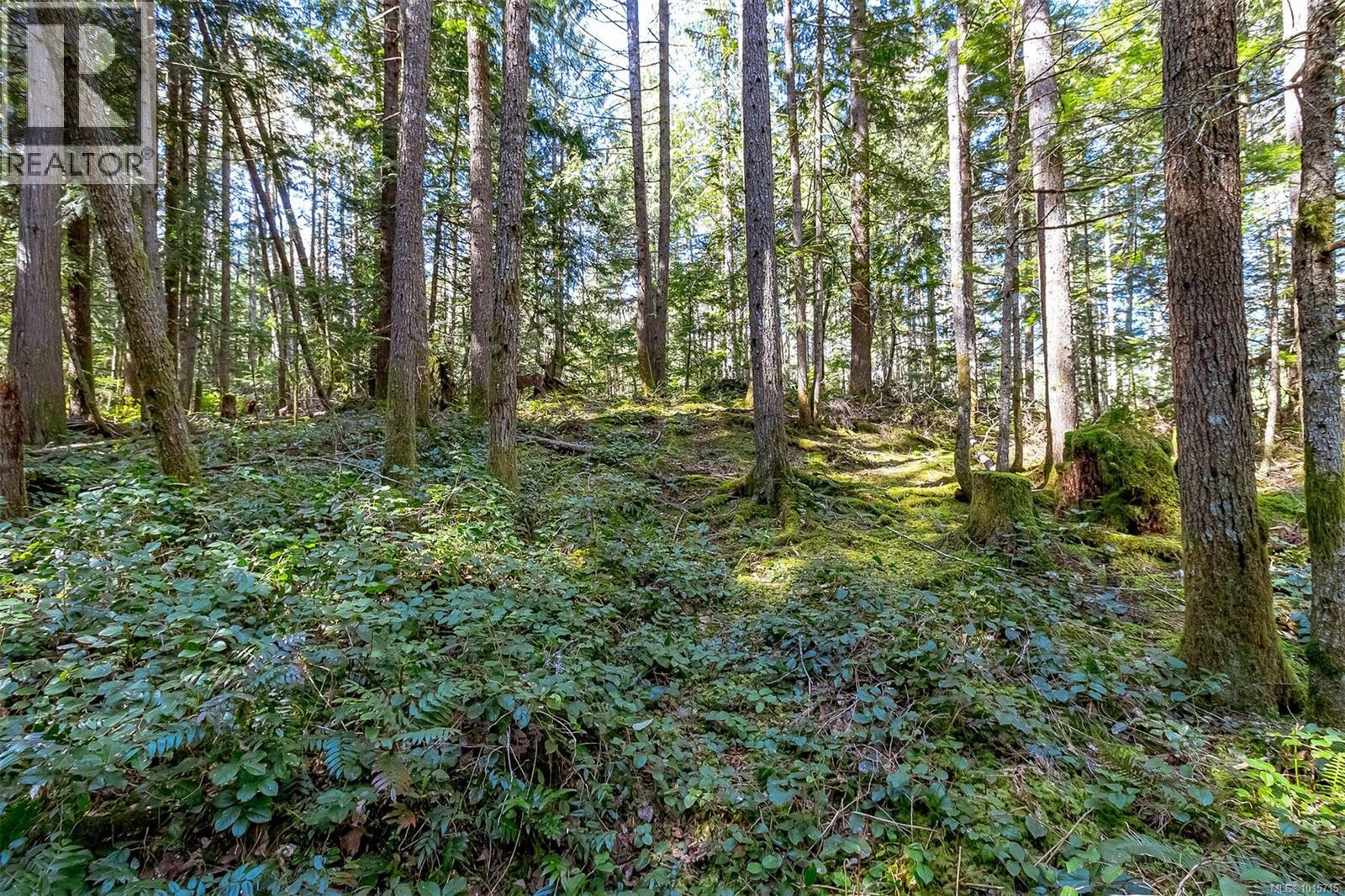 Lot 12 Mountain Rd Property Photo 22