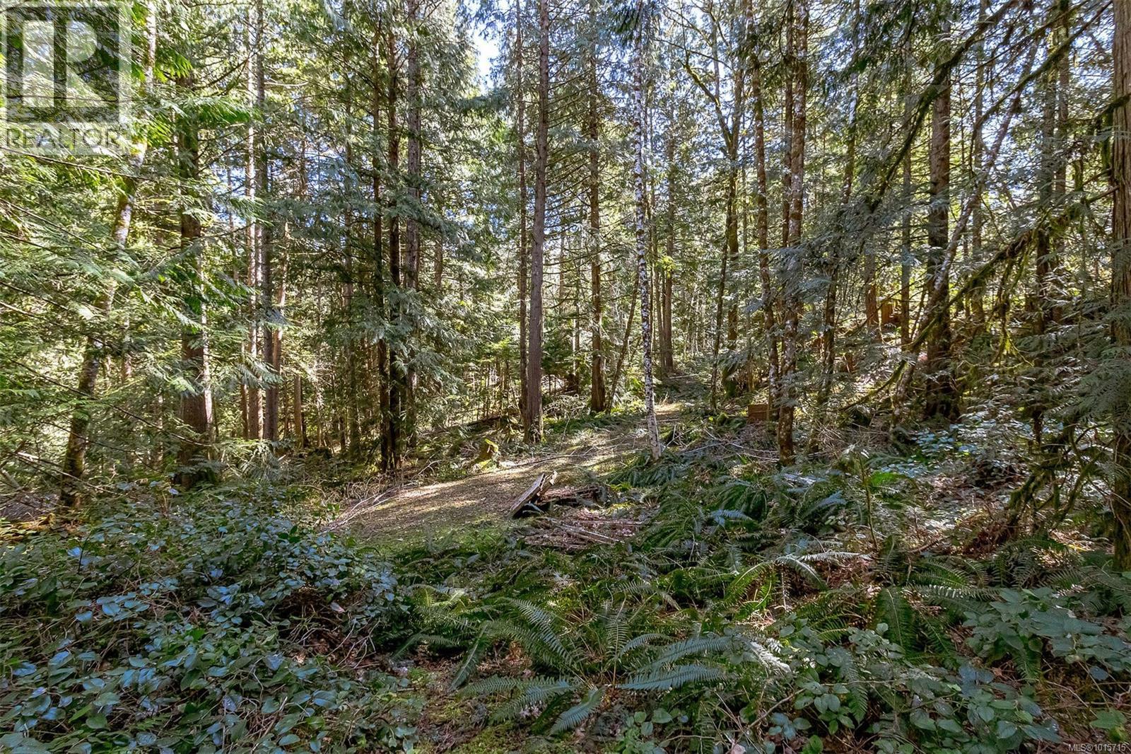 Lot 12 Mountain Rd Property Photo 23