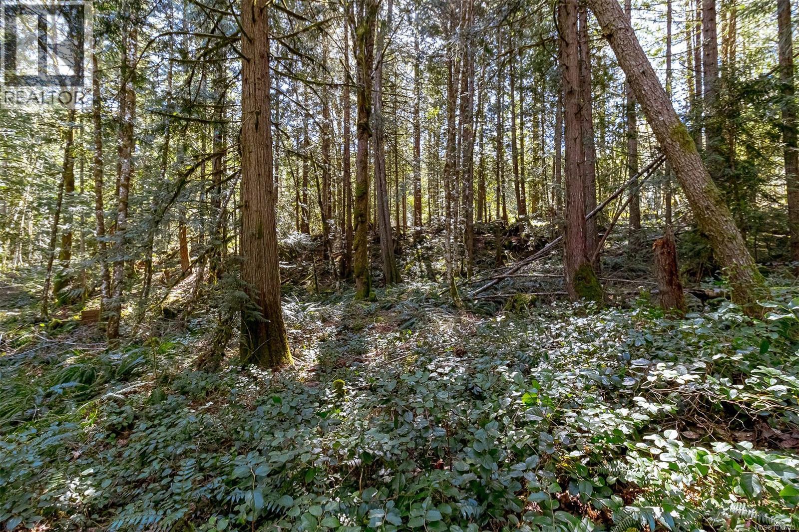 Lot 12 Mountain Rd Property Photo 24
