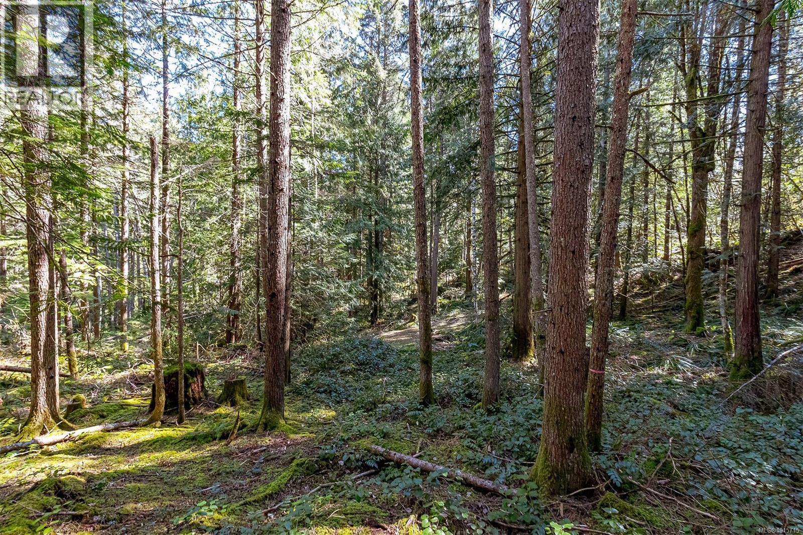 Lot 12 Mountain Rd Property Photo 25