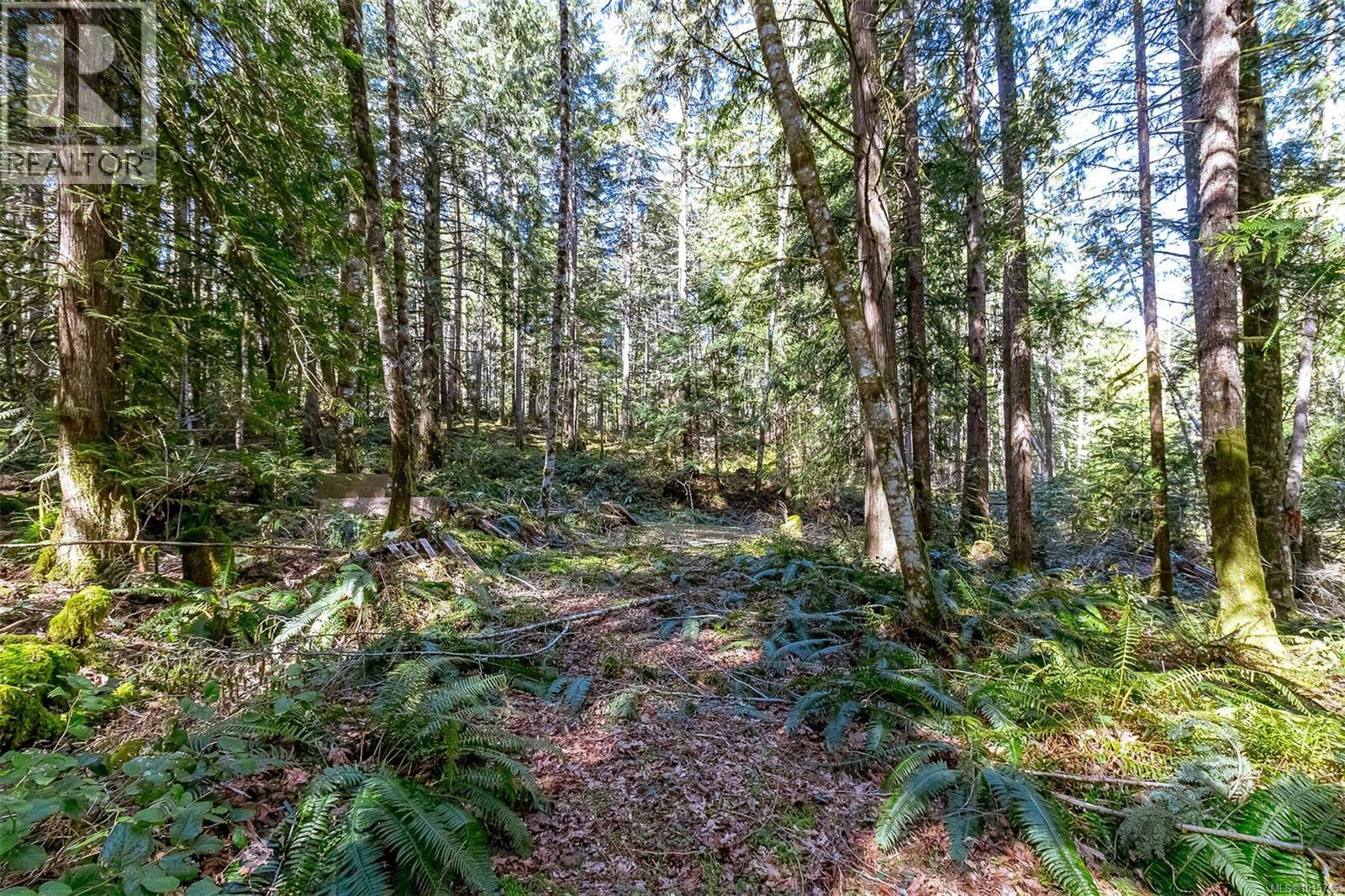 Lot 12 Mountain Rd Property Photo 26
