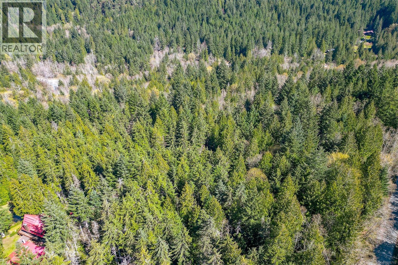 Lot 12 Mountain Rd Property Photo 28