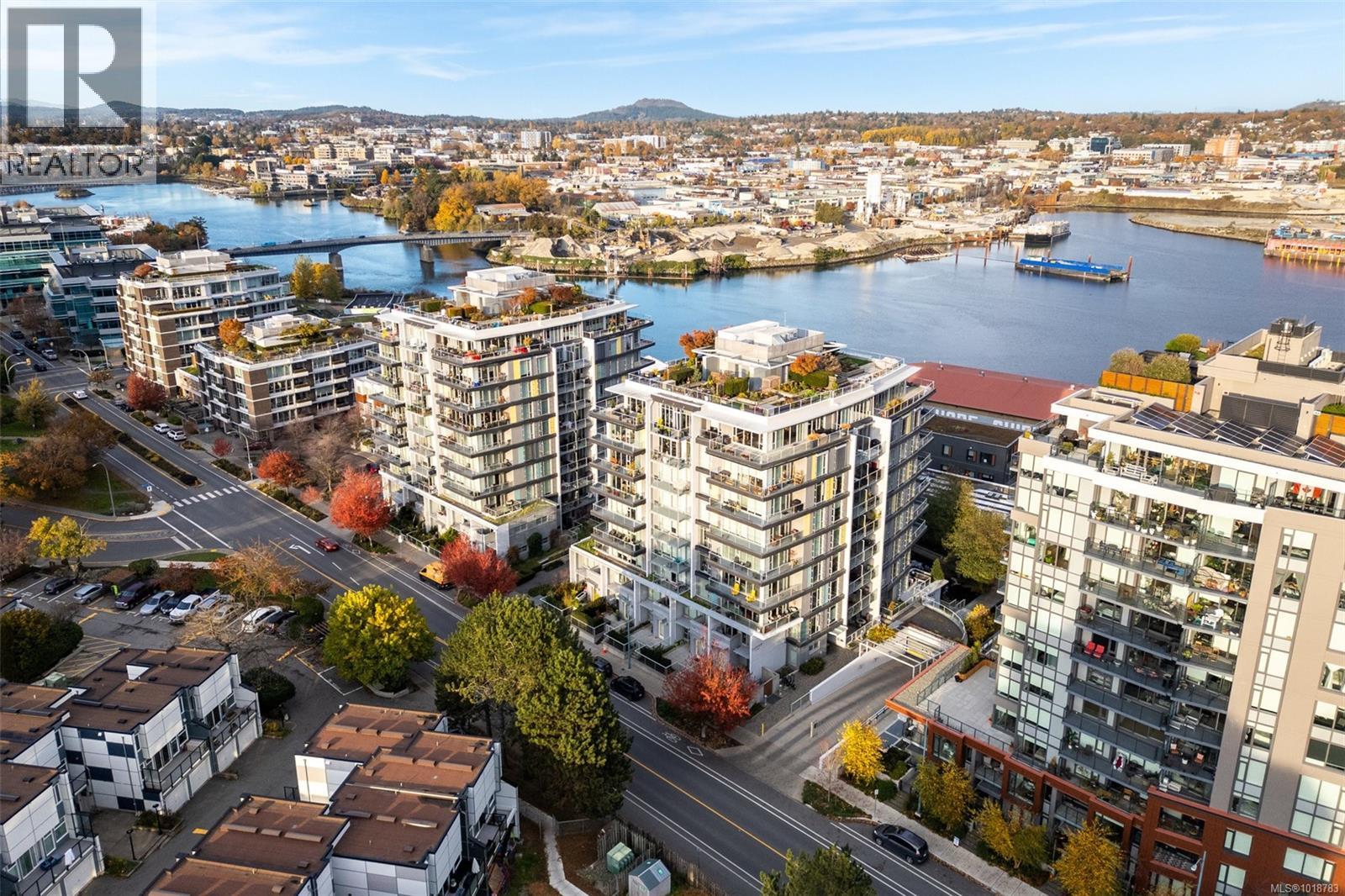 373 Tyee Road #308 Property Photo 2