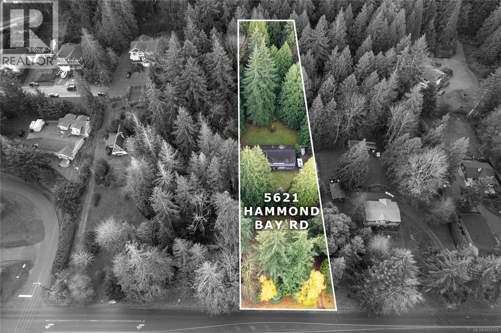5621 Hammond Bay Rd Property Photo 2