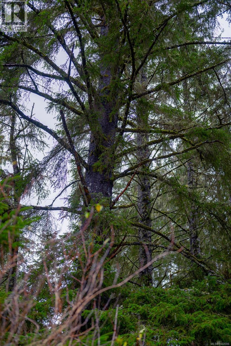 230 Clutus Rd Property Photo 57