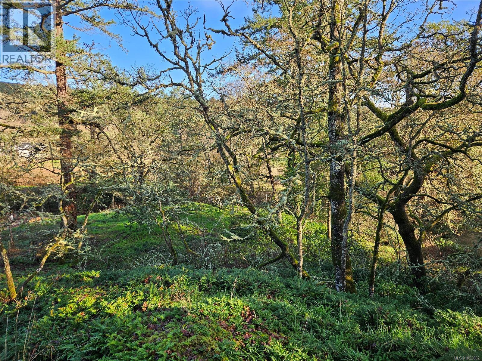 4299 Blenkinsop Rd Property Photo 11