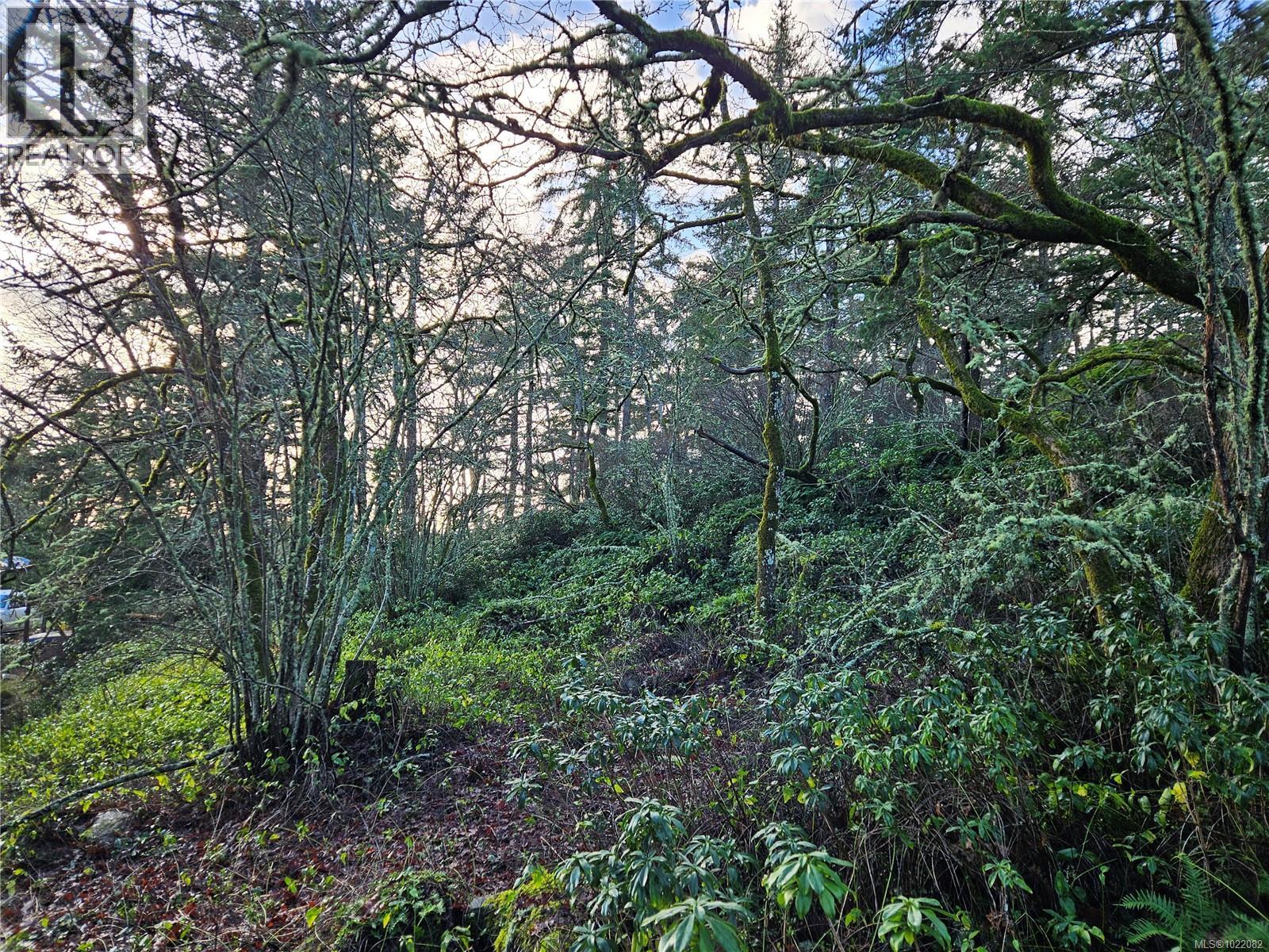 4299 Blenkinsop Rd Property Photo 12