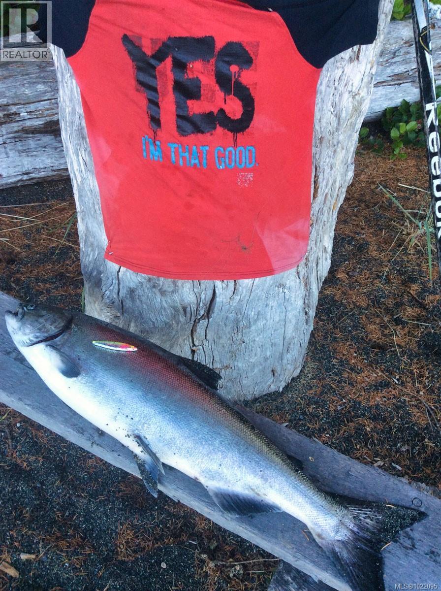 Lot 1 Nootka Island Property Photo 33