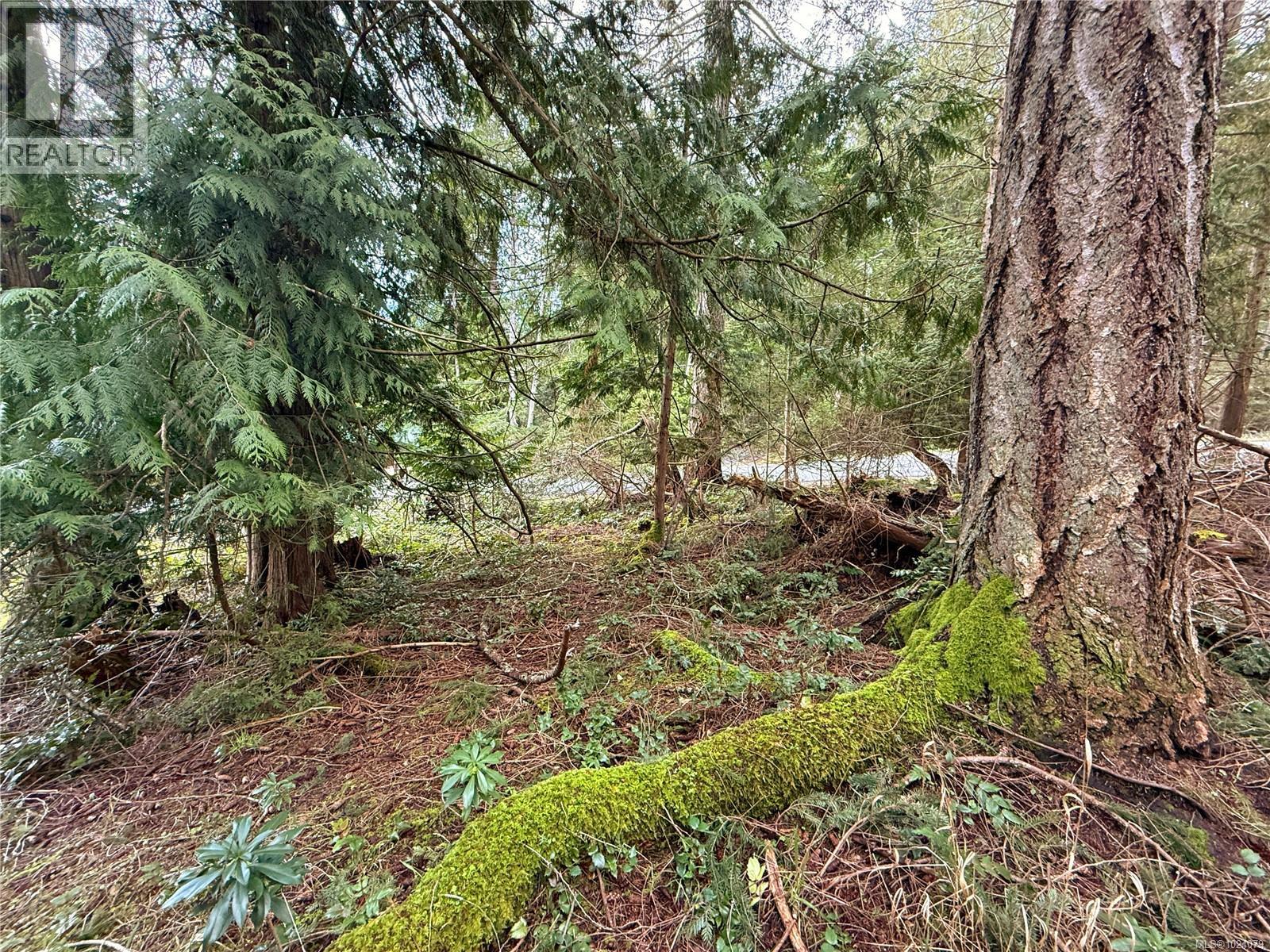 Lt 37 Dirksen Rd