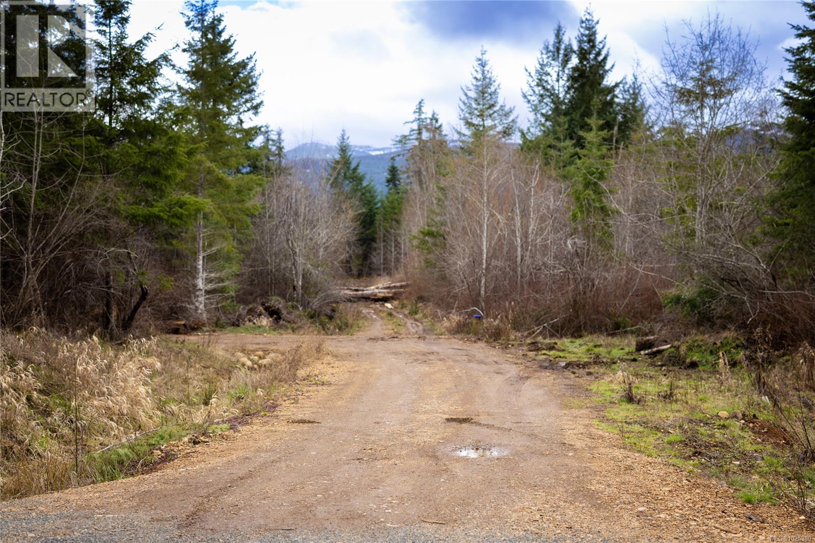 Lot 3 Flail Rd Property Photo 5