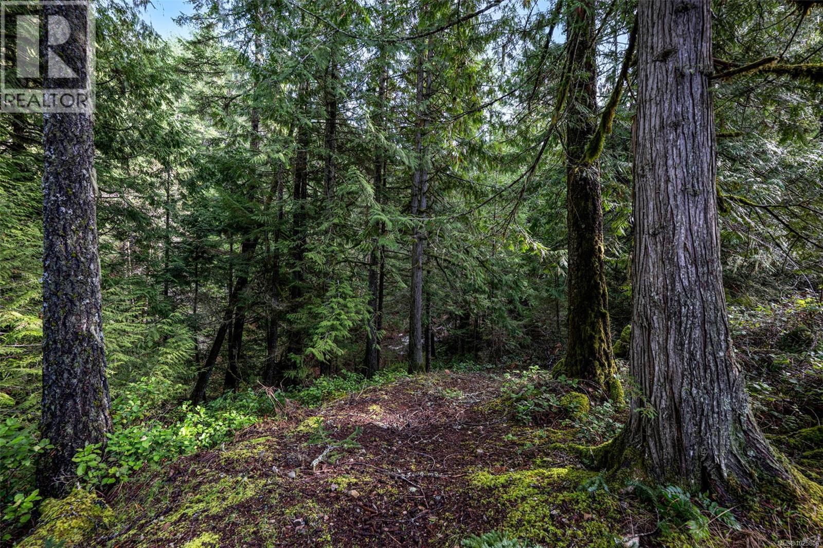 Lot 3 Whittaker Rd Property Photo 3