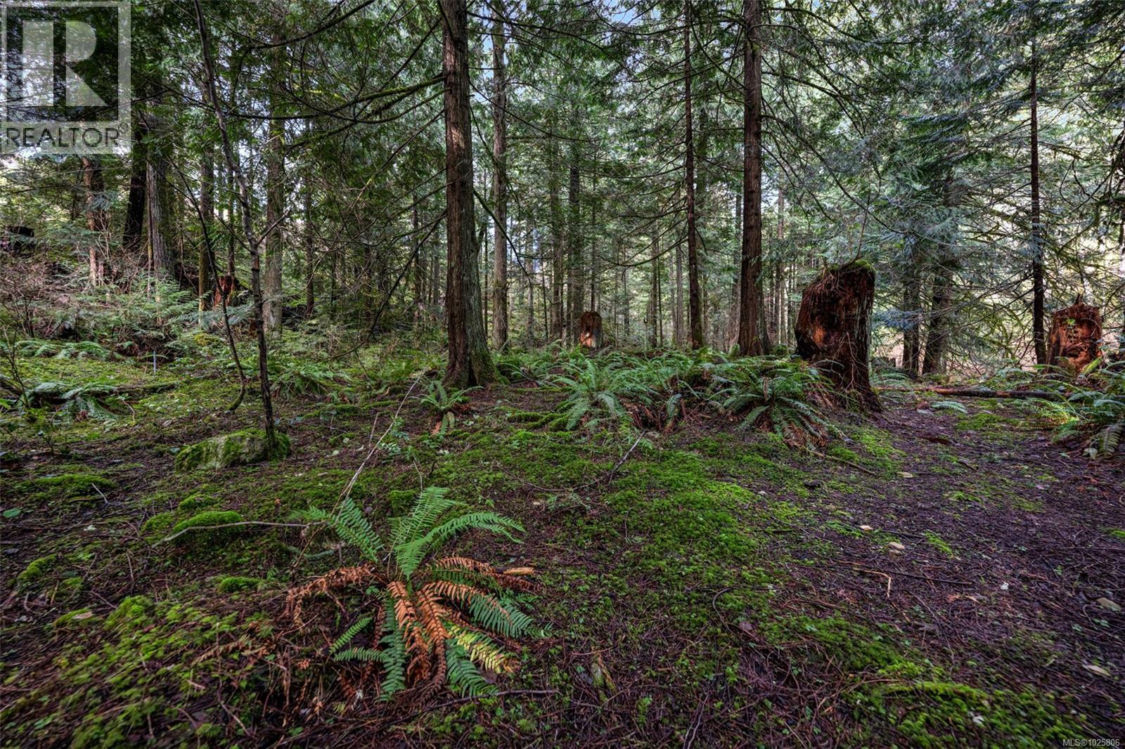 Lot 3 Whittaker Rd Property Photo 10