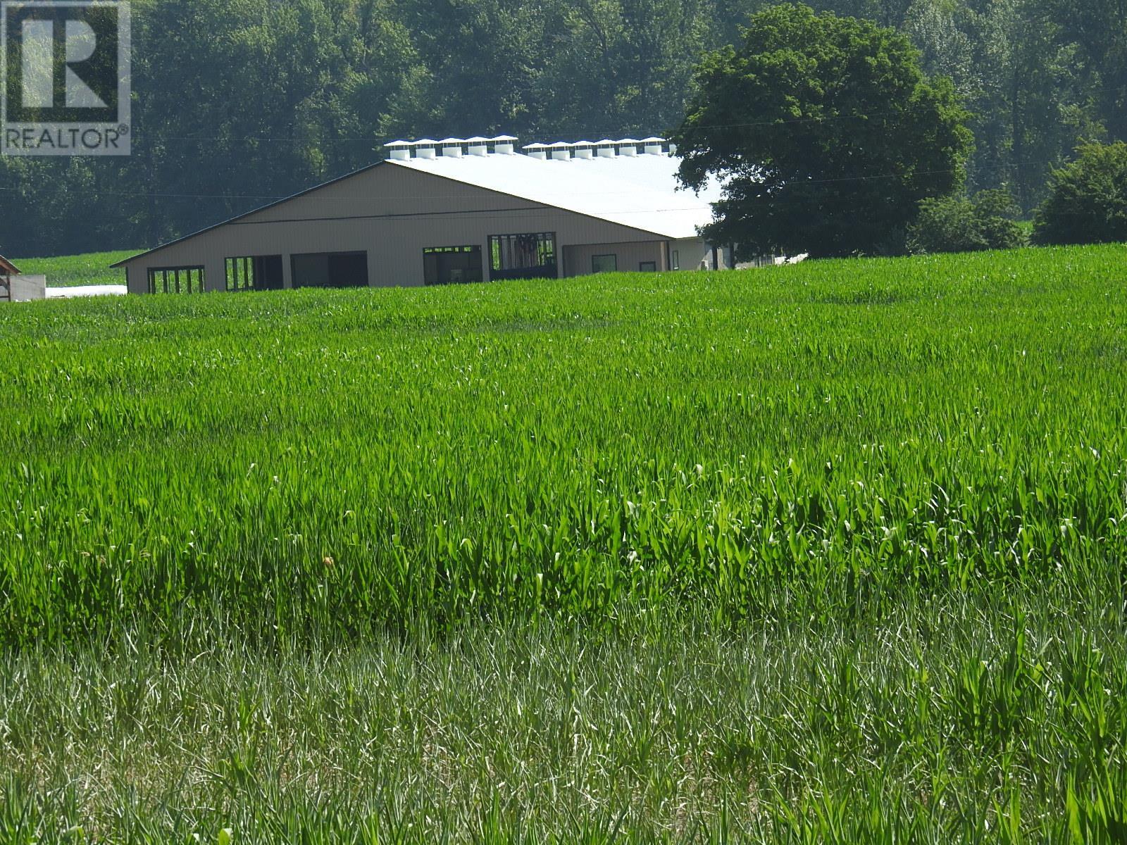 3807 Salmon River Road Property Photo 6