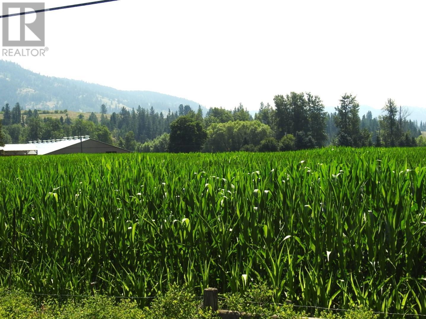 3807 Salmon River Road Property Photo 8