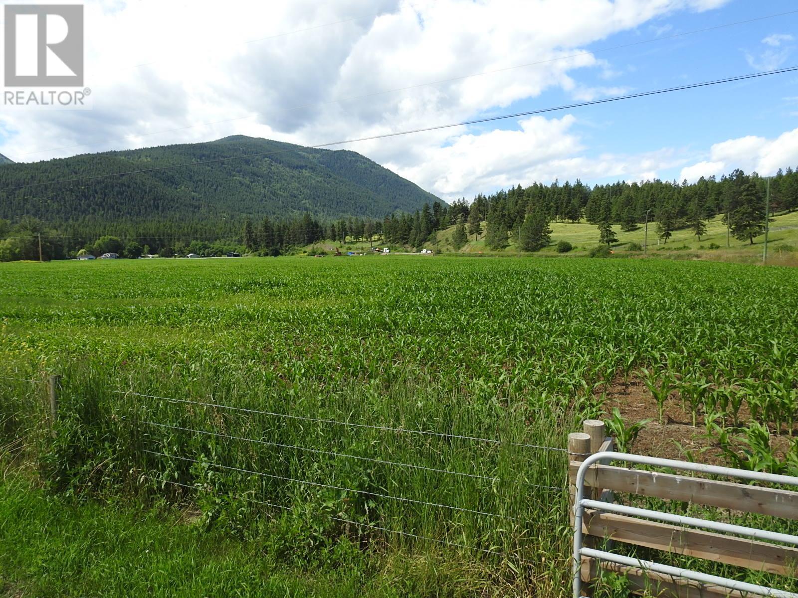 3807 Salmon River Road Property Photo 9