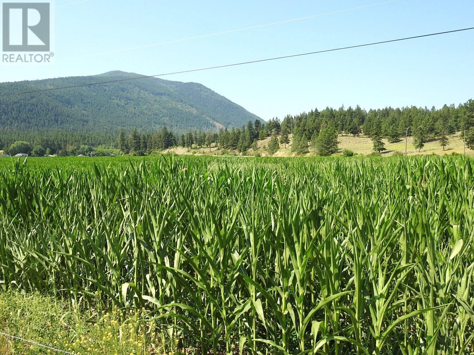 3807 Salmon River Road Property Photo 12