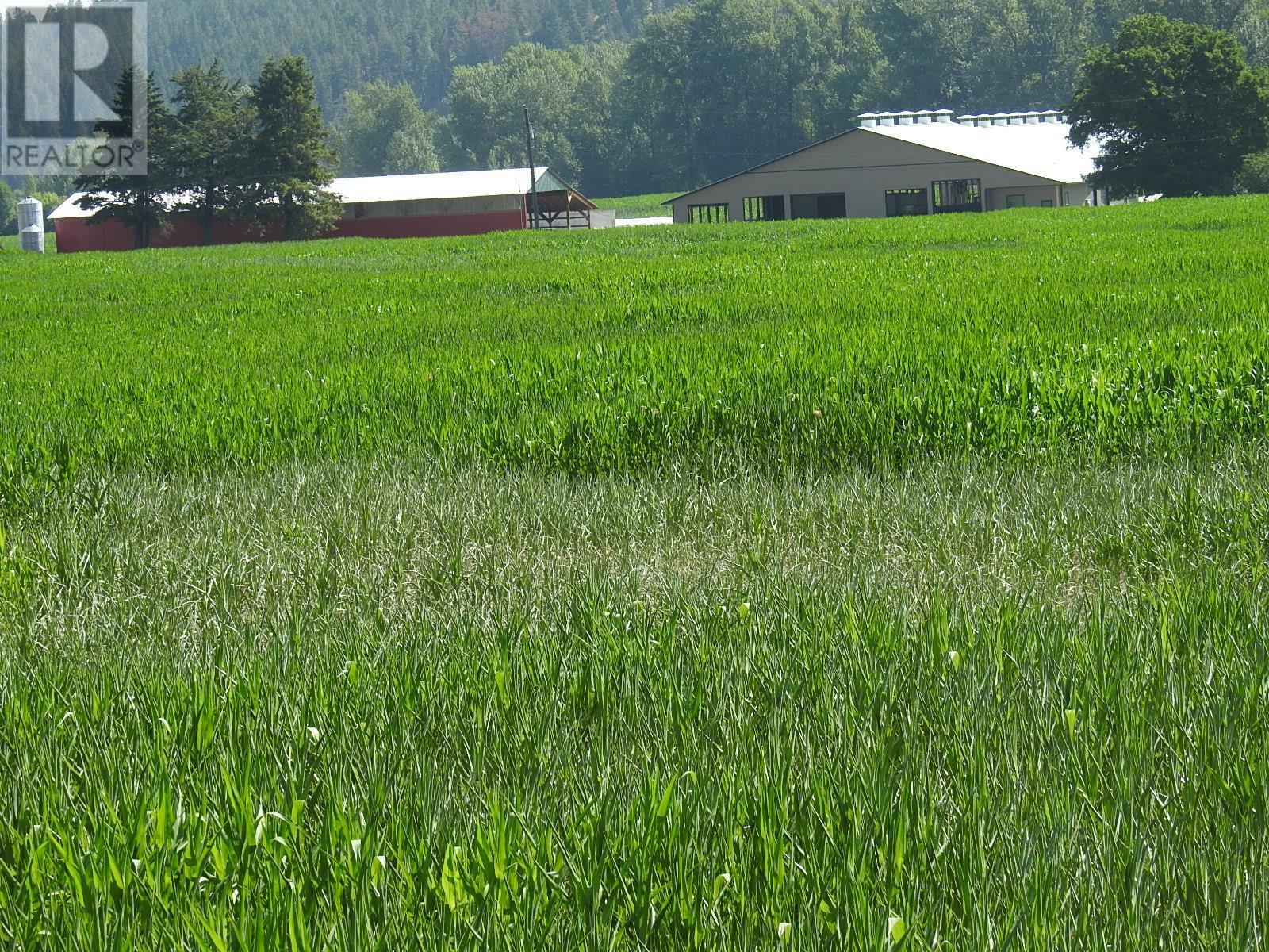 3807 Salmon River Road Property Photo 61