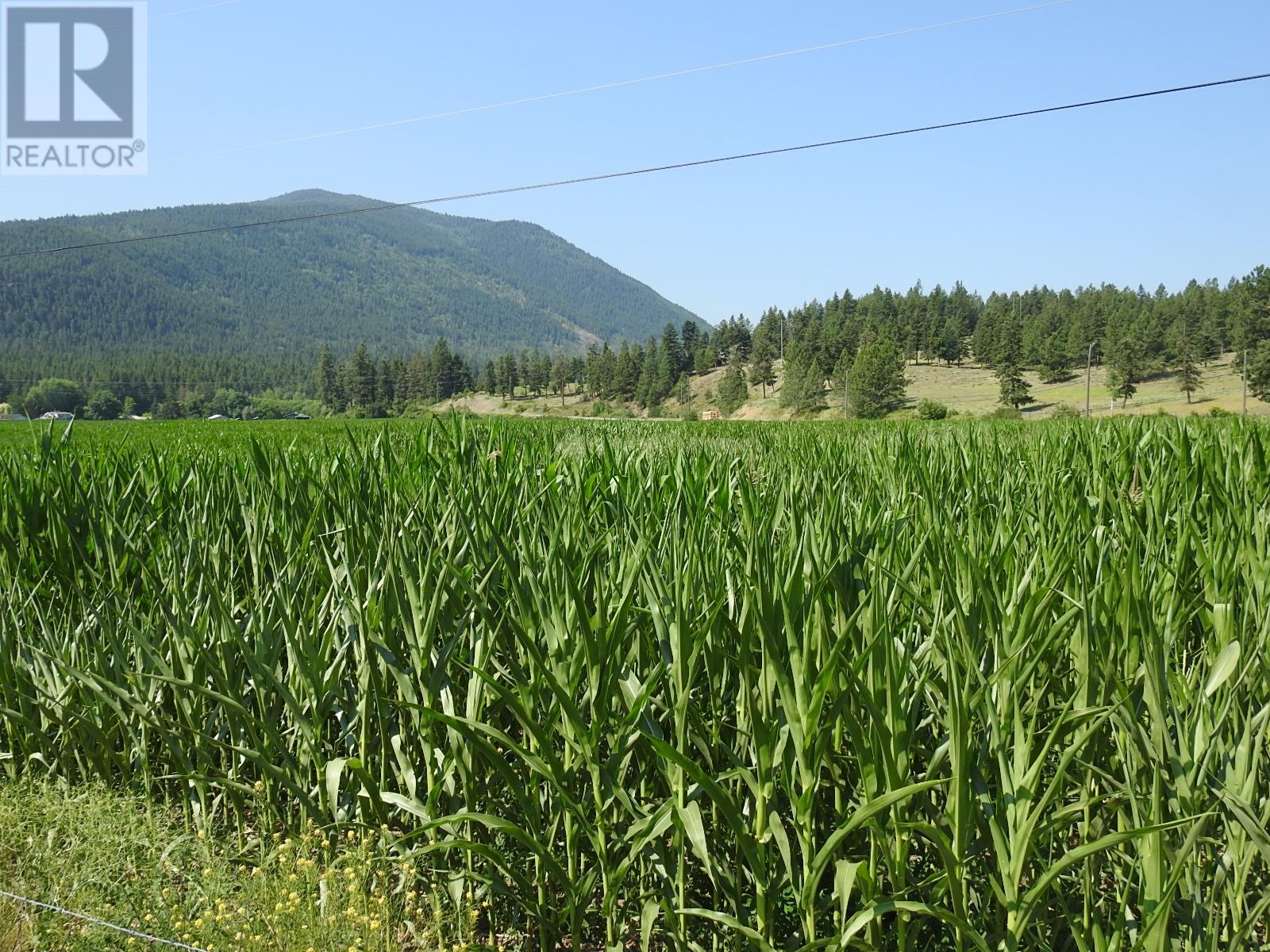3807 Salmon River Road Property Photo 62