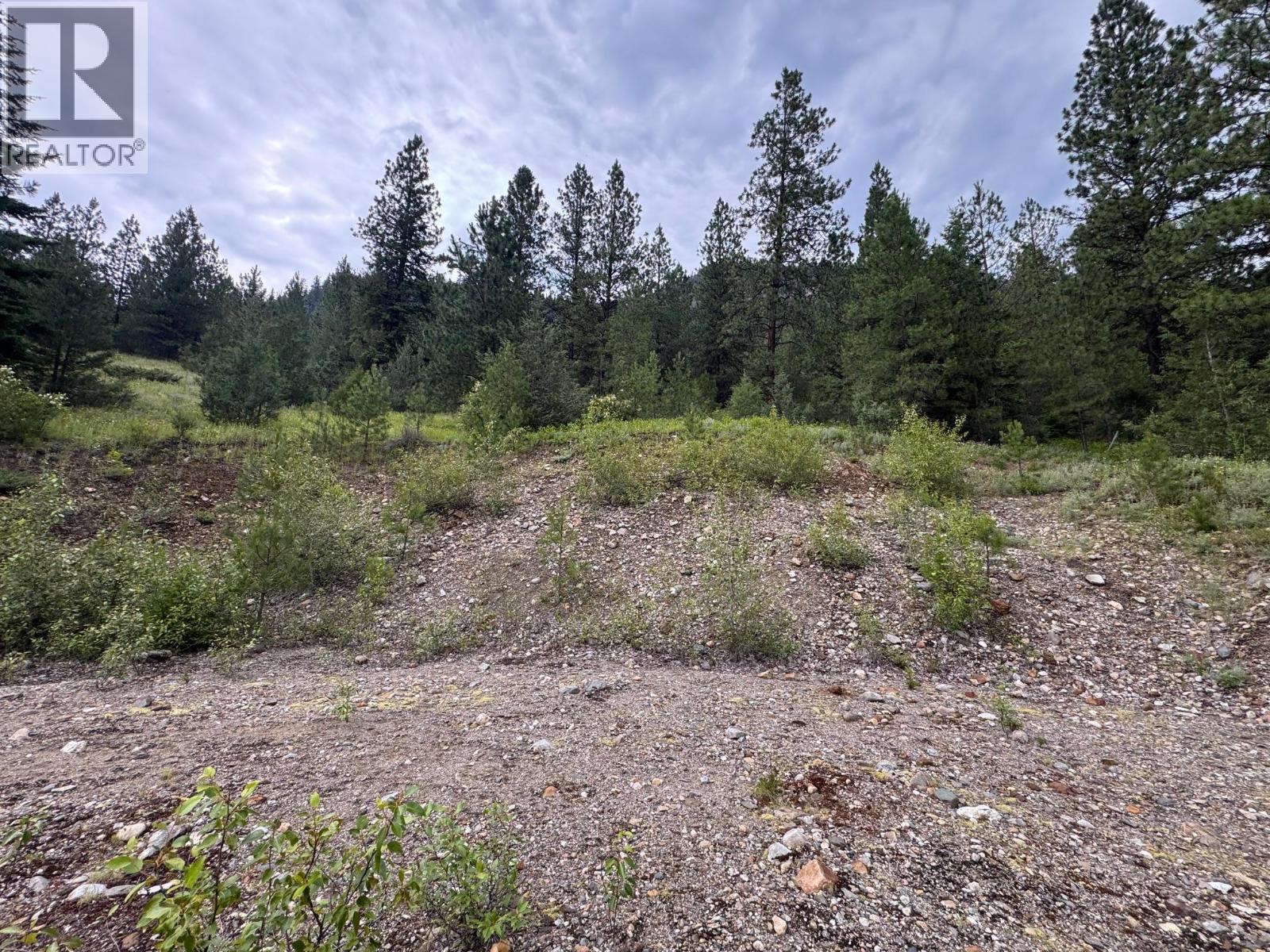 40 Acres Shuswap River Drive Property Photo 3