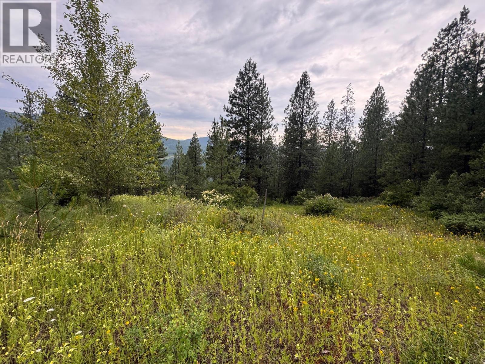 40 Acres Shuswap River Drive Property Photo 4