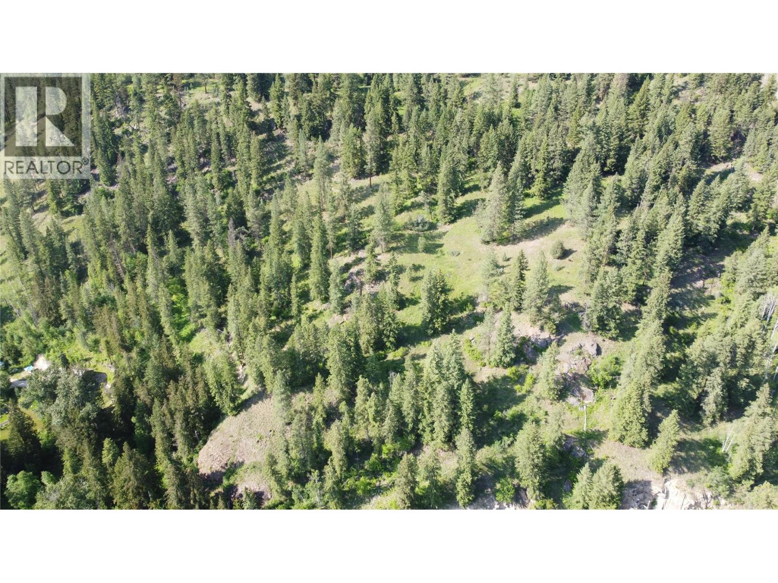 40 Acres Shuswap River Drive Property Photo 7