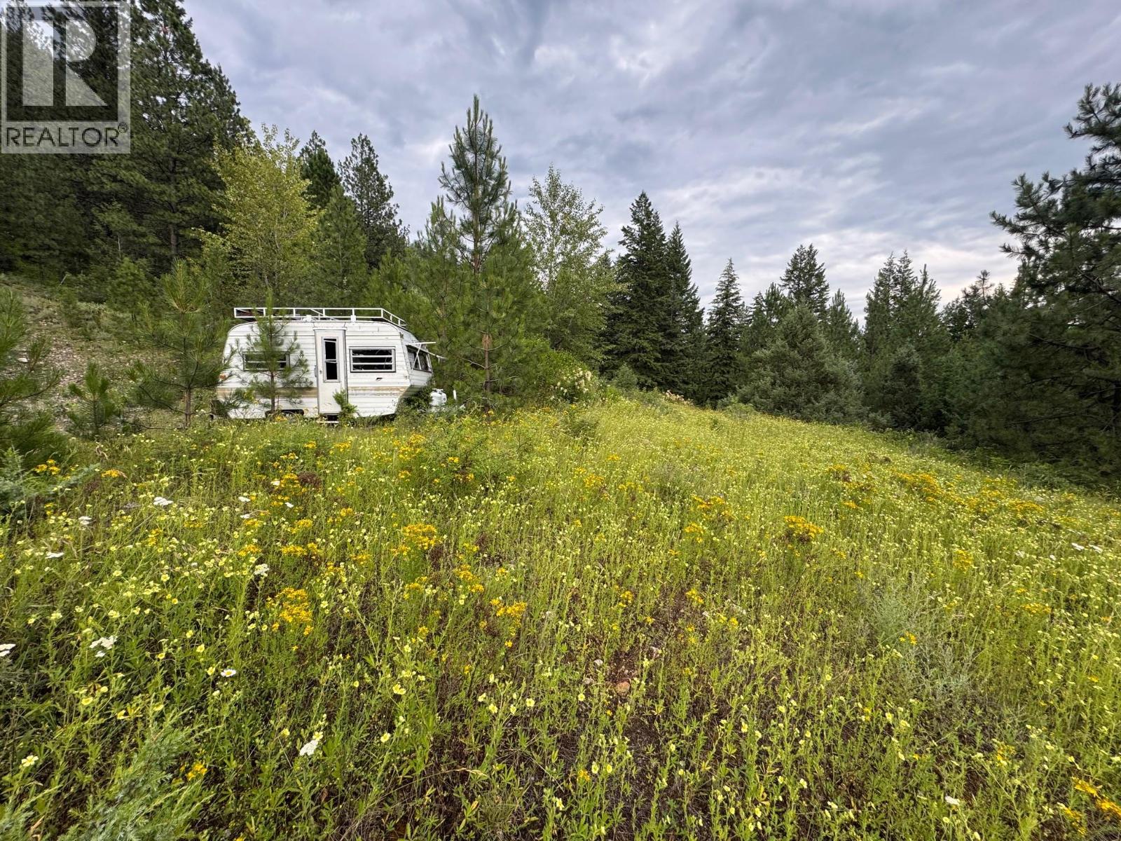 40 Acres Shuswap River Drive Property Photo 8