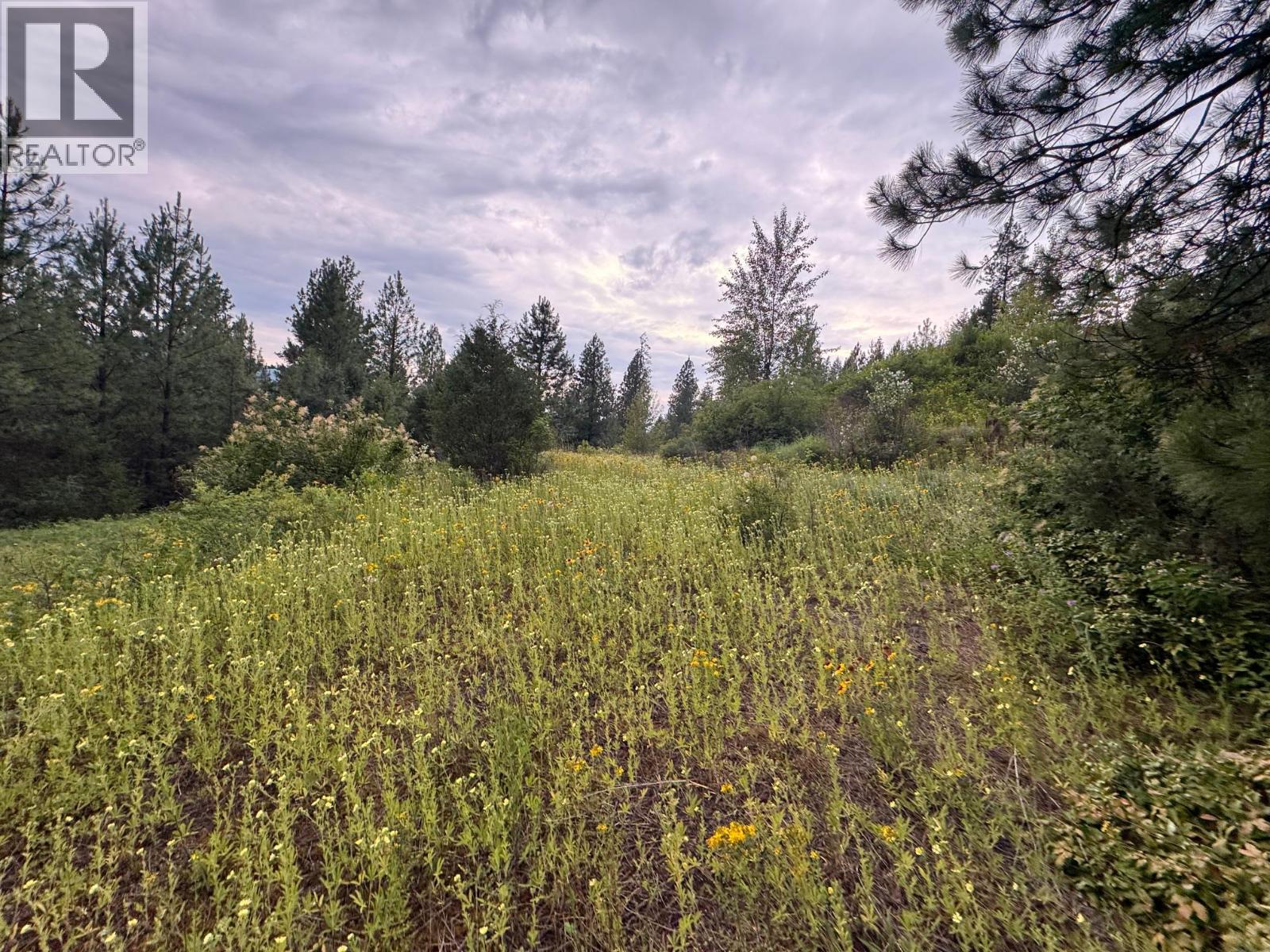 40 Acres Shuswap River Drive Property Photo 9