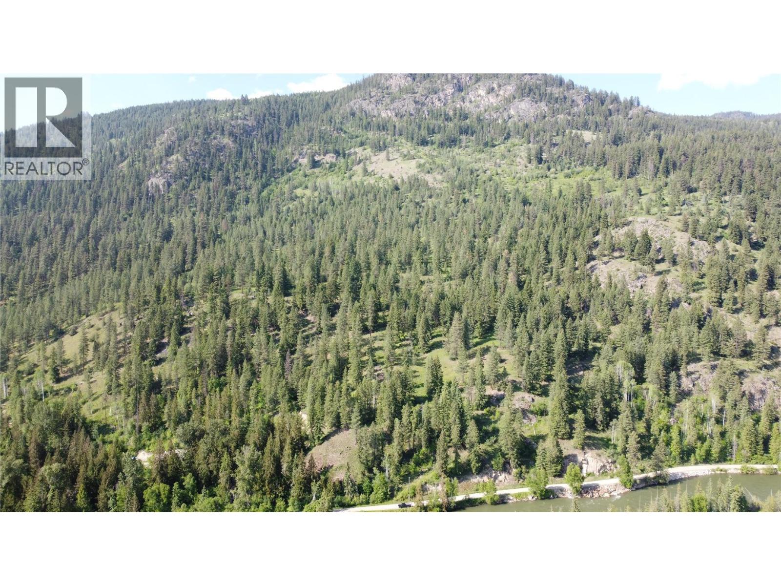 40 Acres Shuswap River Drive Property Photo 11