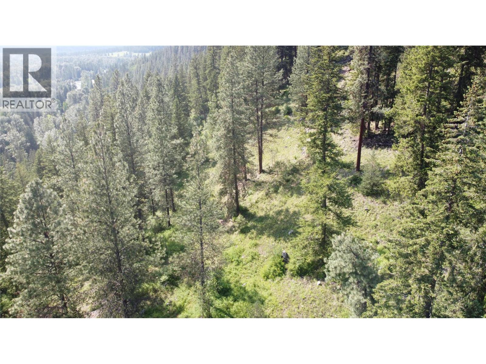40 Acres Shuswap River Drive Property Photo 15